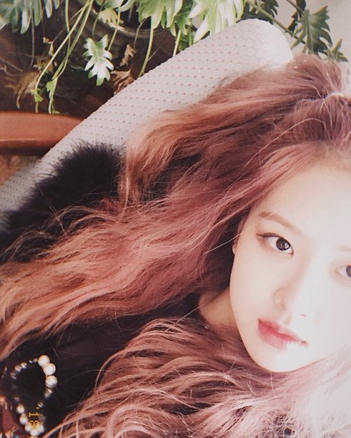 blackpinkofficial:  [IG] 180818 roses_are_rosie: