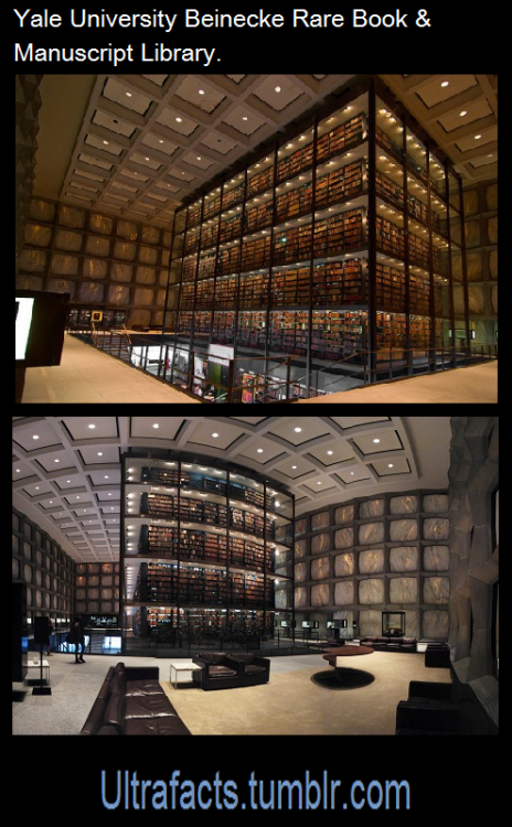 ultrafacts:  Some cool libraries from around the world. Sources: 1 2 3/3 4 5 6 7 8 9  For more facts, Follow Ultrafacts 