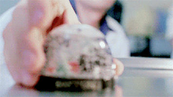 filmcomparisons:  MOVIES I WATCHED THIS SUMMER:#3: Eternal Sunshine of the Spotless