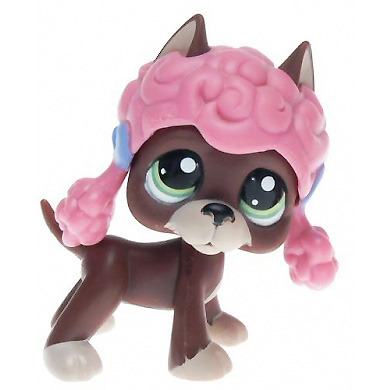 Brown Dog Lps ^__^ 