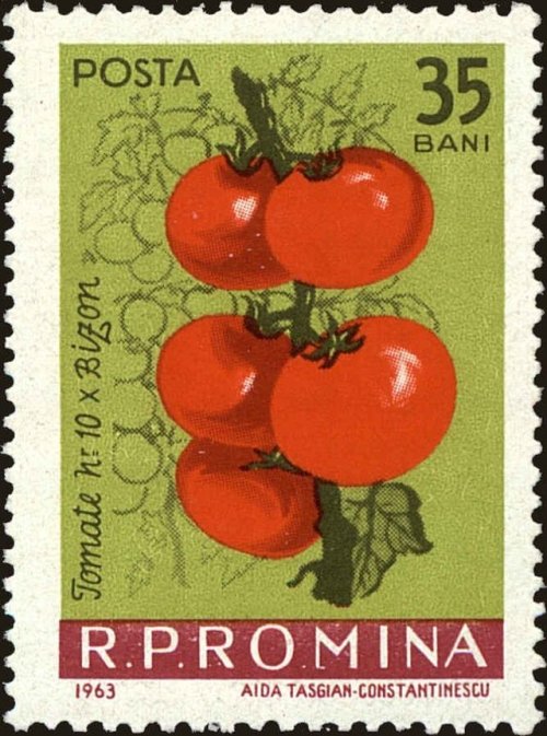 stamp-it-to-me:two 1963 Romanian stamps depicting tomatoes and radishes