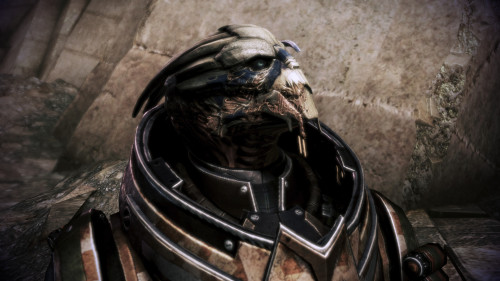 daeniv