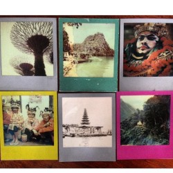 Some @impossibleproject favorites from this