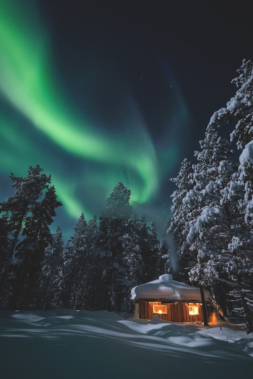 lsleofskye:  Polar Night | einarroyLocation: RIverland Husky, Storslett, Norway