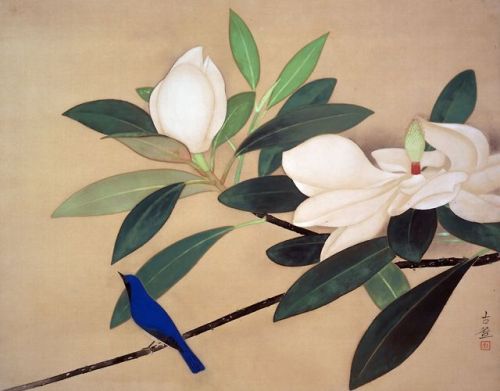 heartbeat-of-leafy-limbs:KOBAYASHI KOKEI Bird and Evergreen Magnolia [1935]