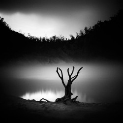 artblackwhite:  Solitude by hengki24