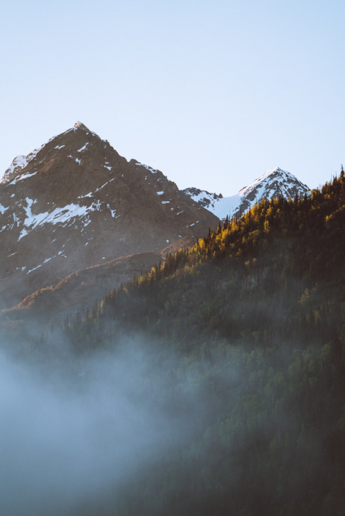 jakeelko: A misty morning in Alaska. Check out my Instagram! =&gt; @jakeelko