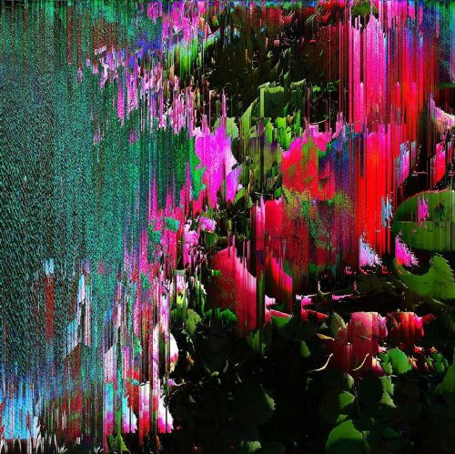 This was a bush . . . . . #pixelsorting #pixelart #glitchart #glitch #art #fineart #pink #violet #ae