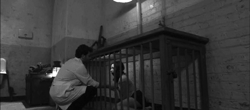 Scent of slave