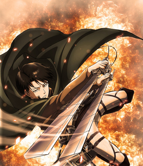 immanime:Levi Ackerman. Fire Edit.  