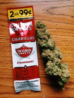 emeraldcitystoner:  Coming home to this makes any day better