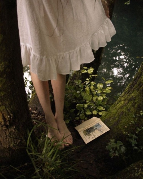 goblincloud:walk on trees adult photos