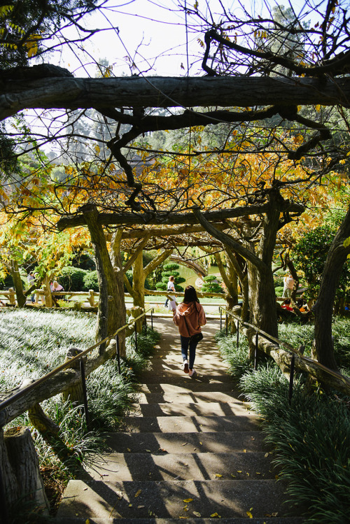 To the Japanese garden ‍♀️| Instagram