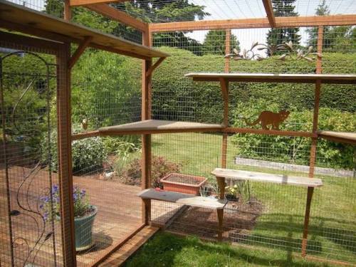 mymodernmet:Cat Owners Are Building Outdoor “Catio” Spaces for Their Beloved Pets to Lounge In