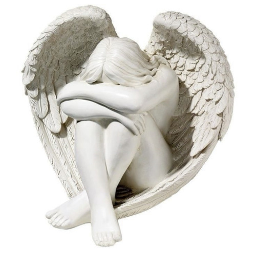 Wishing I Could Sit With My Wings Hunched Other Me In A Maner They Appear As A Heart Shape When Im Sad,,