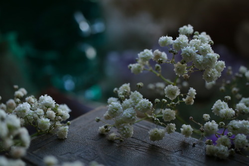 Flowers and gemstones from that time when I took photos for my shop update tumblr | Instagram | Etsy