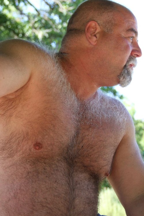 Los osos que quiero