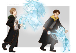 swimming-with-titans:  …So I saw thechosenchu and hdotk&rsquo;s Hogwarts AU art andddd this happened.  I hadn’t seen anyone else do it so, these are my headcanon’s for the their patronuses its so sloppy i did it at like 2 am  Jean - Andalusian