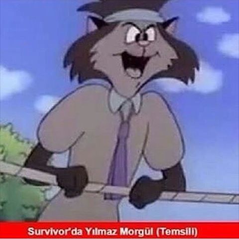 Survivor'da Yılmaz Morgül