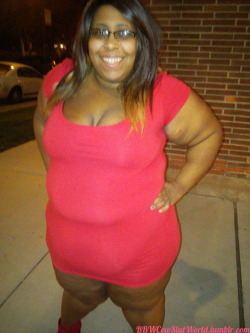 bbwcowslutworld:  Here you go! The second part of my set in my red dress. We started the night out with me standing on the corner of a main street flashing traffic as they wizzed by. I got quite a couple of cars honking at me! :D We ended the night with