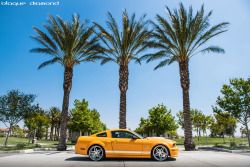 fullthrottleauto:  2008 Ford Shelby Fitted with 20 Inch BD-8’s in Silver