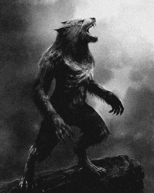 Dark forest, glow of the lake, an eternal dance of death