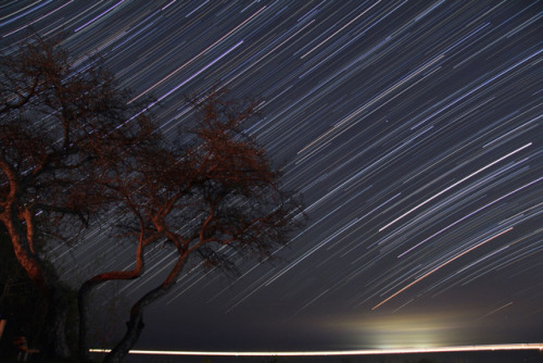 Stars over Lake Michigan js