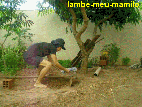 lambe-meu-mamilo:  ~lambe-meu-mamilo.