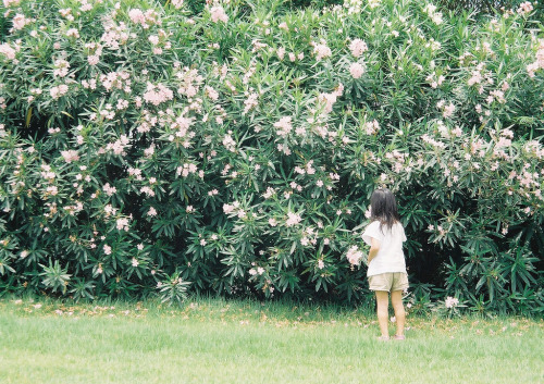 englishsnow:   miyuklm 