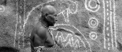 embrace of the serpent