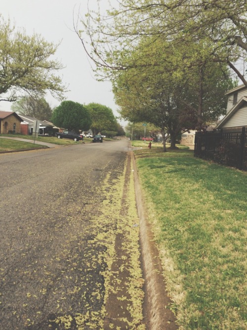 o3mar:  💛🌿
