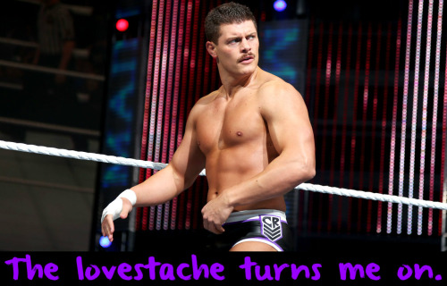 wwewrestlingsexconfessions:  The lovestache turns me on.  Cody turns me on! That lovestache not so much