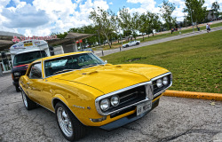 chadscapture:1968 Pontiac Firebird