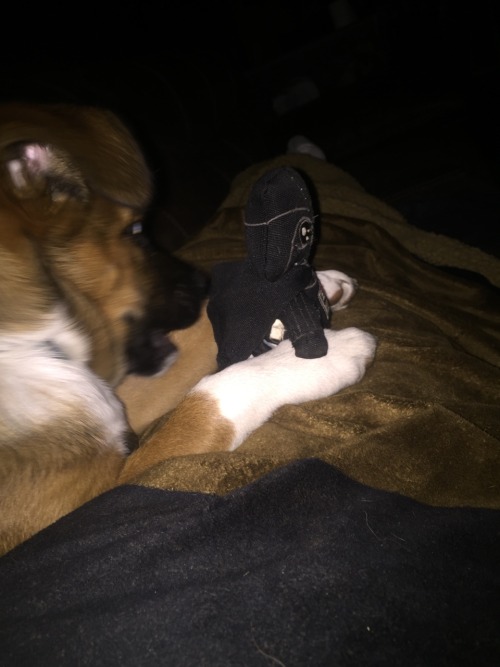 Watching Star Wars the force awakens with Freya and she’s chewing on her darth Vader toy, a decent night
