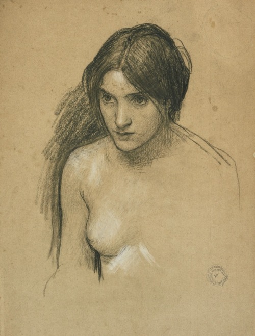 acornfaerie:Drawings by John William WaterhouseStudy for ‘The Lady Clare’ c. 1900Study for ‘Hylas an
