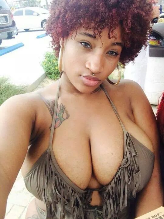 mrtiddy