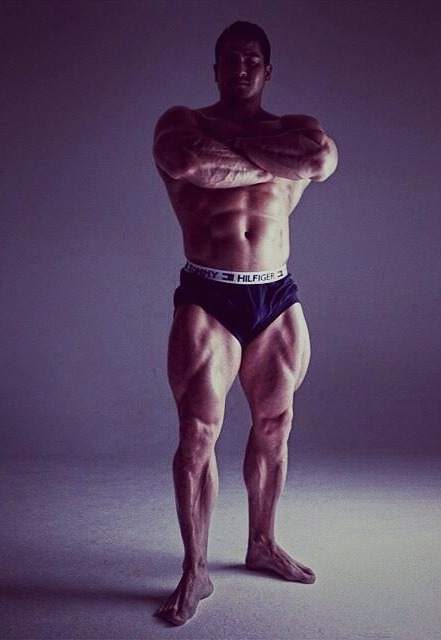 muscle lover