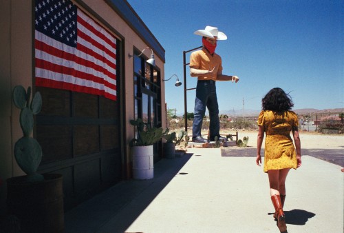 Long Cool Woman in a Yellow Dress Joshua Tree, California 2020