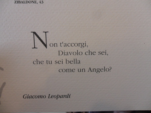bruciare-al-suolo:  &lt;3
