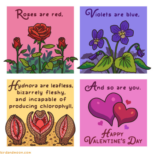 birdandmoon:A botany valentine.You can preorder my pretty & gross new picture book here.