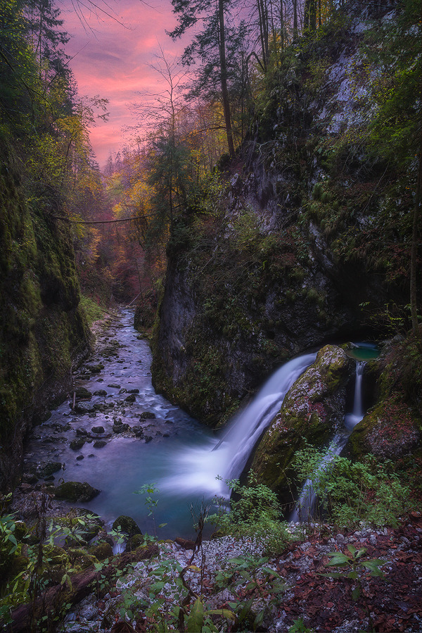 ponderation:  Gardens of Water by Marco Marinescu 