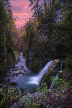 ponderation:  Gardens of Water by Marco Marinescu