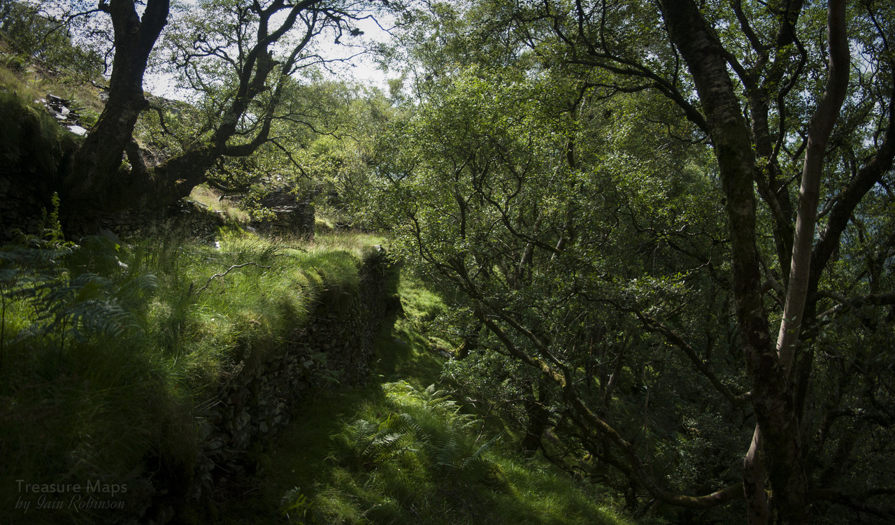 thefierybiscuit:  The old level, Penrhyn Gwyn