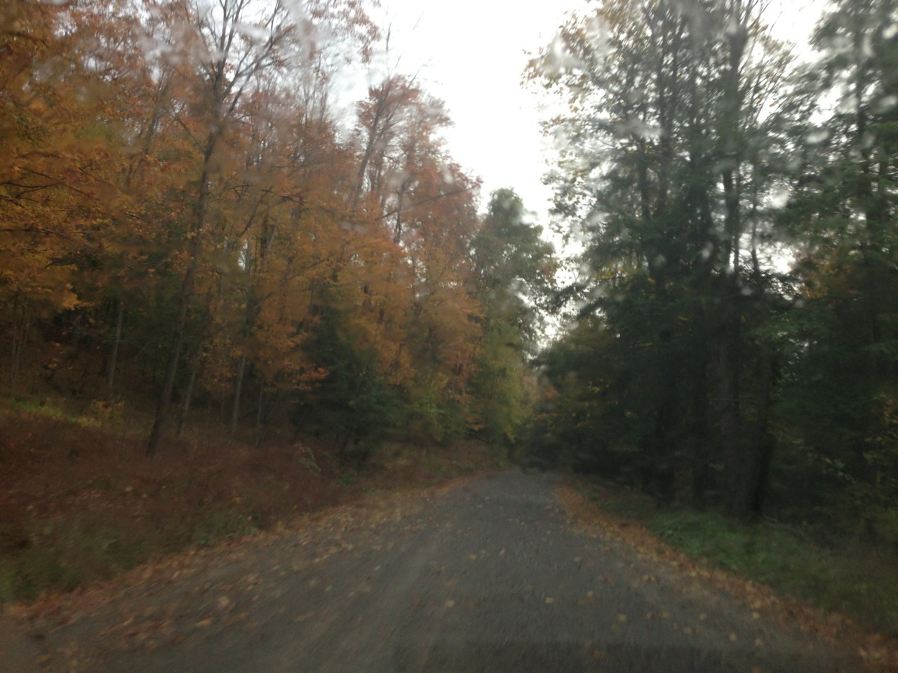 spiced-pumpkinn:  Rainy fall day drive to my fiancés house.