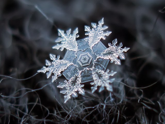  Micro-photography of individual snowflakes by Alexey Kljatov 