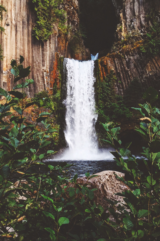 There's beauty in everything