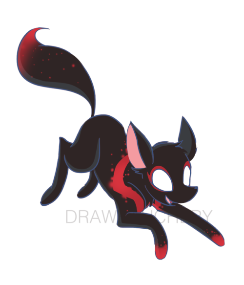 spider fox!