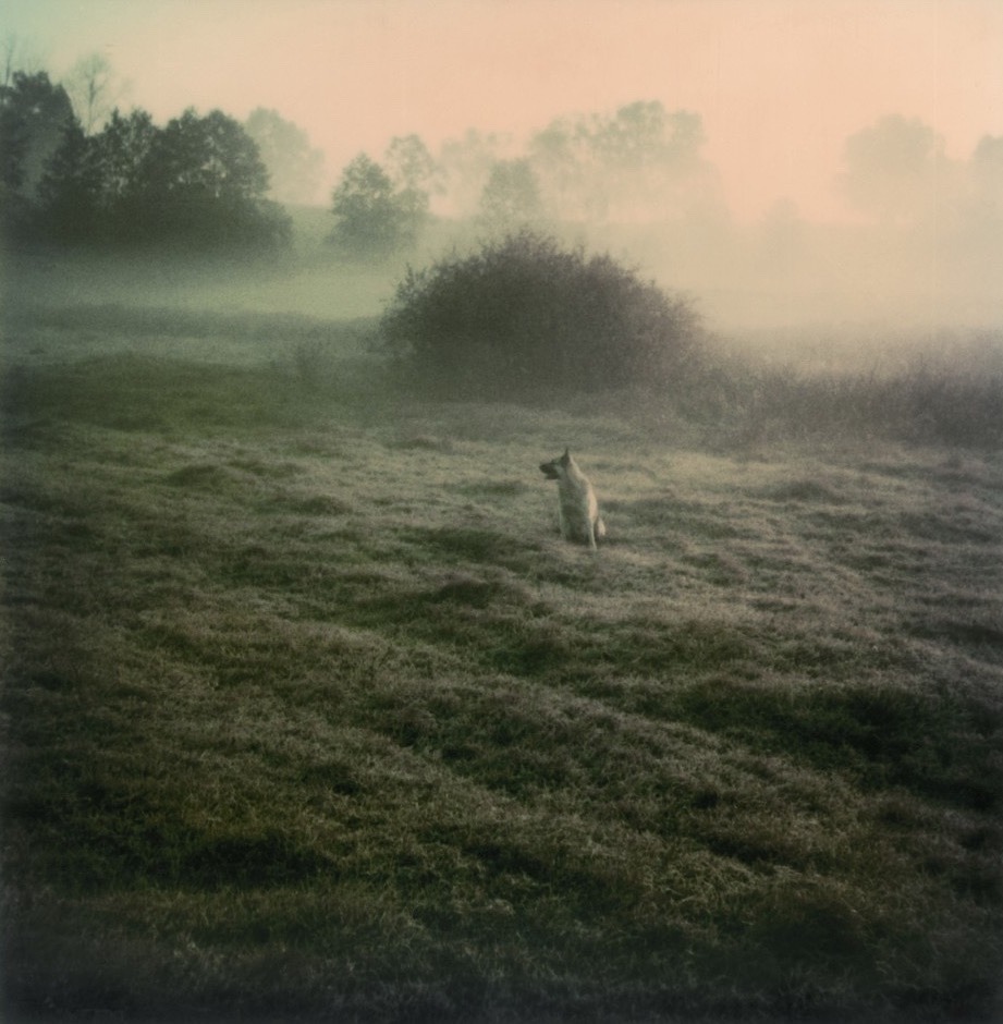 latenightpersonality:Photos by Andrei Tarkovsky: Polaroid, 1980 (from the book Instant