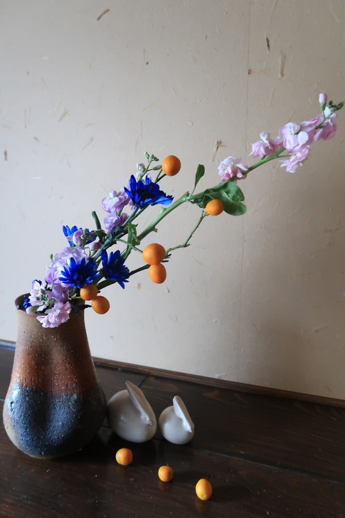 This Week’s Ikebana  - Sparkling BlueAt the local michi-no-eki someone had gone to a lot of trouble 