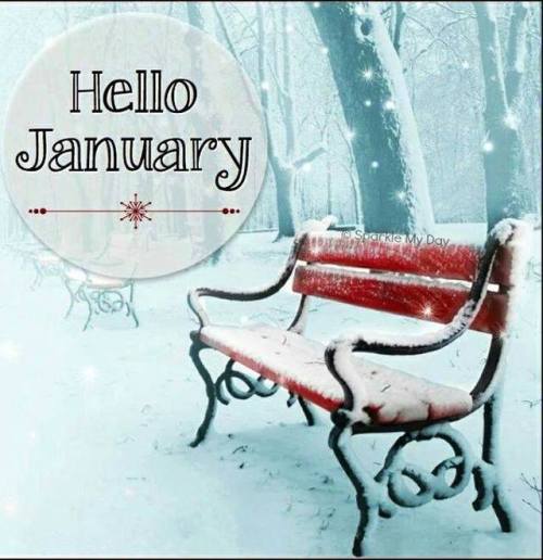 a-cunning-linguist-13:  Snow please! ❄❄❄
